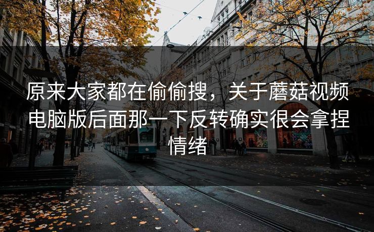原来大家都在偷偷搜，关于蘑菇视频电脑版后面那一下反转确实很会拿捏情绪  第1张