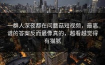 一群人深夜都在问蘑菇短视频，最离谱的答案反而最像真的，越看越觉得有猫腻