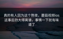 真的有人因为这个熬夜，蘑菇视频ios这事后劲大得离谱，事情一下就有味道了
