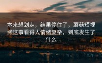 本来想划走，结果停住了，蘑菇短视频这事看得人情绪复杂，到底发生了什么