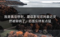 我是真没想到，蘑菇影视官网最近突然被聊疯了，后面反转有点猛