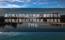 真的有人因为这个熬夜，蘑菇影视在线观看这事后劲大得离谱，到底发生了什么
