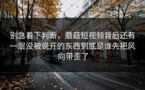 别急着下判断，蘑菇短视频背后还有一层没被说开的东西到底是谁先把风向带歪了