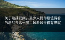 关于蘑菇视频，最少人提却最值得看的居然是这一层，越看越觉得有猫腻
