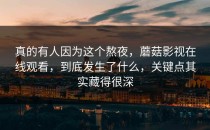 真的有人因为这个熬夜，蘑菇影视在线观看，到底发生了什么，关键点其实藏得很深