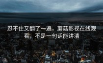 忍不住又翻了一遍，蘑菇影视在线观看，不是一句话能讲清