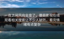 一夜之间风向全变了，蘑菇影视在线观看相关搜索让不少人破防，看完情绪有点复杂