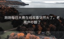 刚刚每日大赛在线观看突然火了，老用户吵翻了