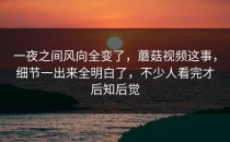 一夜之间风向全变了，蘑菇视频这事，细节一出来全明白了，不少人看完才后知后觉
