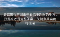 蘑菇影视官网那些看似不起眼的地方，拼起来才是完整答案，关键点其实藏得很深