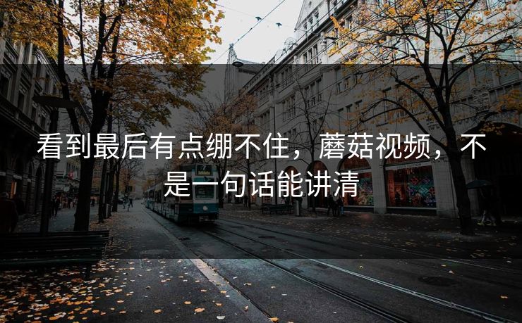 看到最后有点绷不住，蘑菇视频，不是一句话能讲清