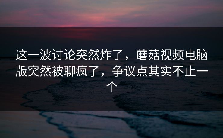 这一波讨论突然炸了，蘑菇视频电脑版突然被聊疯了，争议点其实不止一个