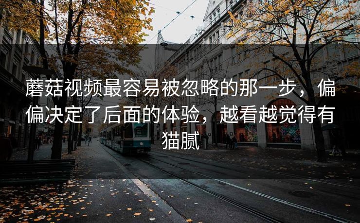 蘑菇视频最容易被忽略的那一步，偏偏决定了后面的体验，越看越觉得有猫腻