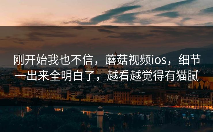 刚开始我也不信，蘑菇视频ios，细节一出来全明白了，越看越觉得有猫腻  第1张