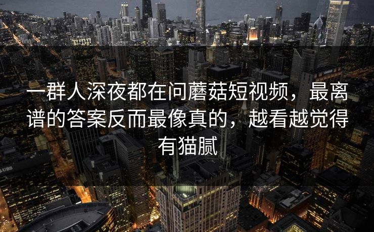 一群人深夜都在问蘑菇短视频，最离谱的答案反而最像真的，越看越觉得有猫腻  第1张