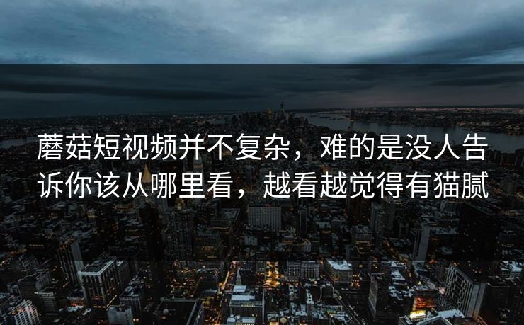 蘑菇短视频并不复杂，难的是没人告诉你该从哪里看，越看越觉得有猫腻