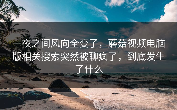 一夜之间风向全变了，蘑菇视频电脑版相关搜索突然被聊疯了，到底发生了什么