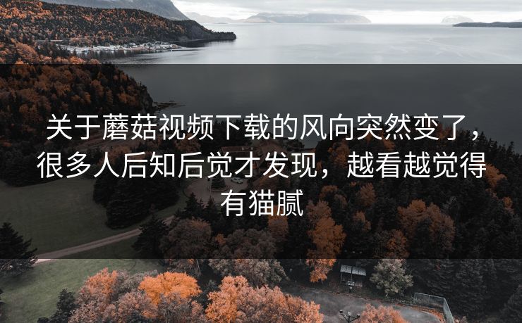 关于蘑菇视频下载的风向突然变了，很多人后知后觉才发现，越看越觉得有猫腻  第1张