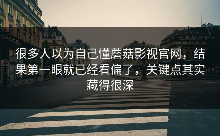 很多人以为自己懂蘑菇影视官网,结果第一眼就已经看偏了,关键点其实藏得很深 第1张 很多人以为自己懂蘑菇影视官网,结果第一眼就已经看偏了,关键点其实藏得很深 第1张