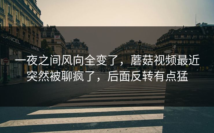 一夜之间风向全变了，蘑菇视频最近突然被聊疯了，后面反转有点猛  第1张