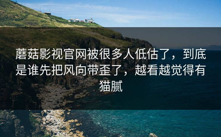蘑菇影视官网被很多人低估了,到底是谁先把风向带歪了,越看越觉得有猫腻 第1张 蘑菇影视官网被很多人低估了,到底是谁先把风向带歪了,越看越觉得有猫腻 第1张